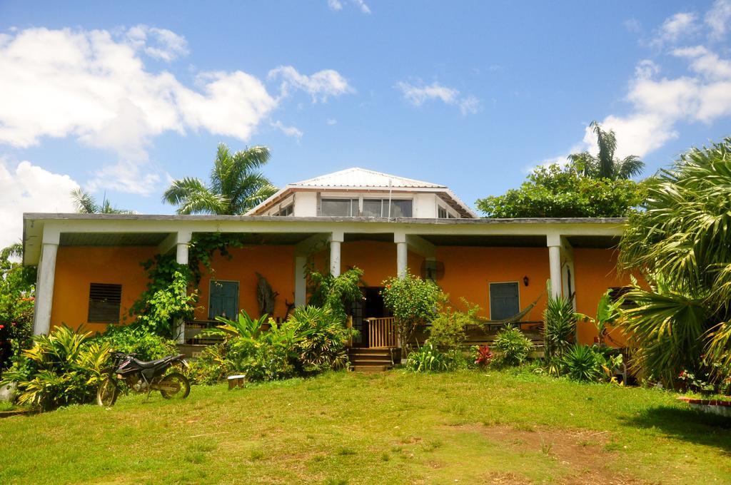 Germaican Hostel بورت أنطونيو المظهر الخارجي الصورة